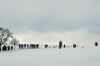 DSC_9068.jpg